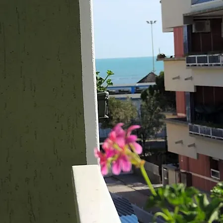 Ai Fiori
